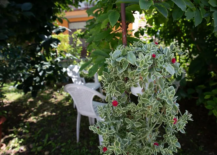 House Anna * メストレ